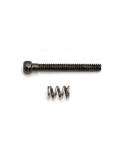 Team Associated 3929 Motor Clamp Spring and Screw