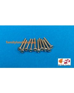 Family Land 2x12 Zinc Plate Metal Thread Pan Phillips Mild Steel Screw (10pcs)