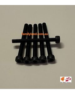 Family Land 2.5x25mm SOCKET HEAD CAP SCREWS (6pcs)