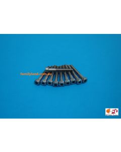 Family Land 4x30mm Socket Head Screw Stainless Steel (10pcs)