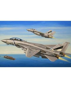 Hobby Boss 80278 F-14D Super Tomcat 1/72