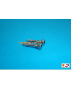 Phoenix SCR420 SPINNER SCREW 4x20mm (2pcs)