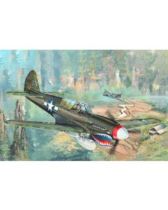 Trumpeter 02212 P-40N War Hawk 1/32